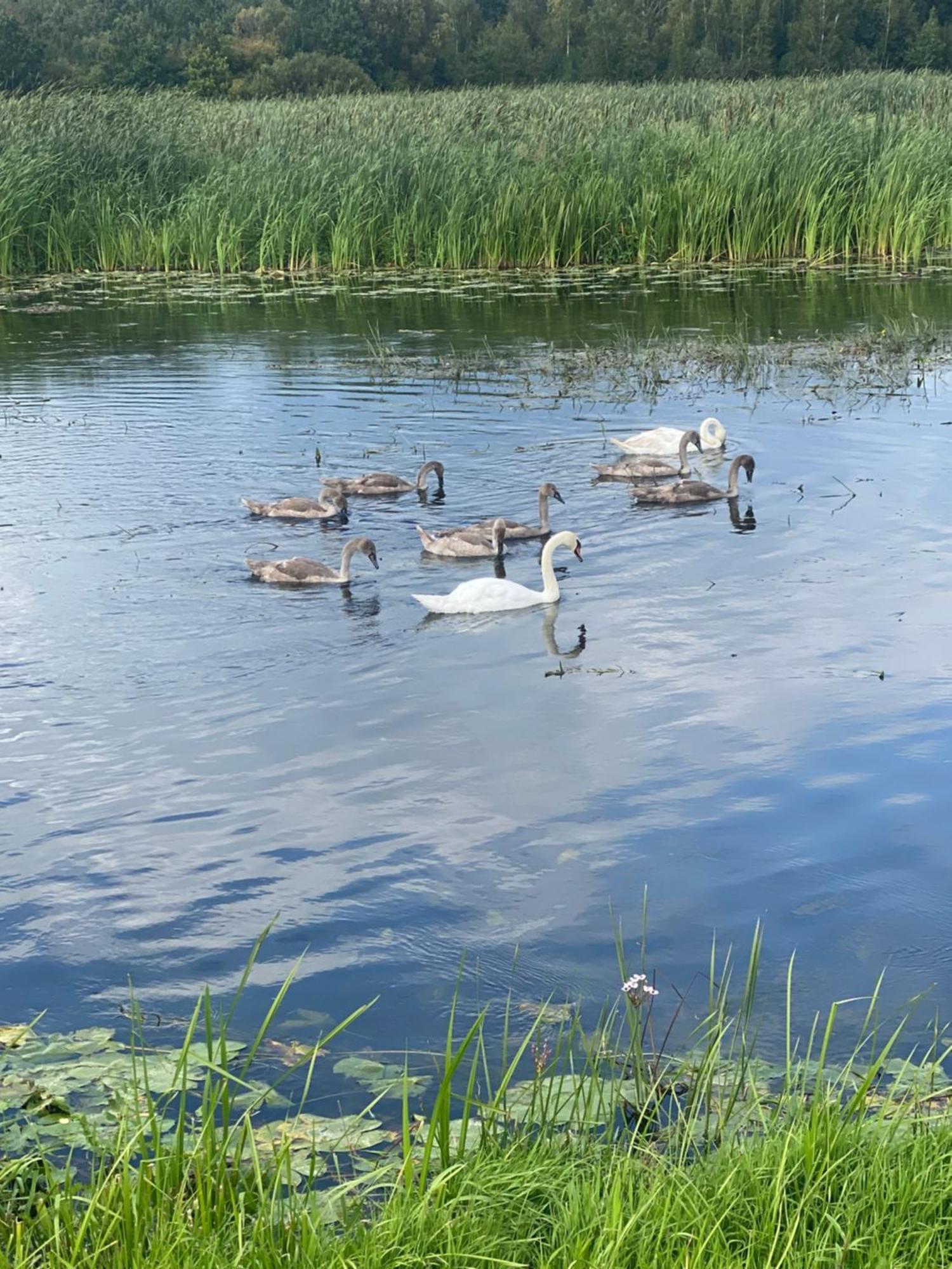 Biebrzanska Przystan 3 Villa Goniadz Dış mekan fotoğraf